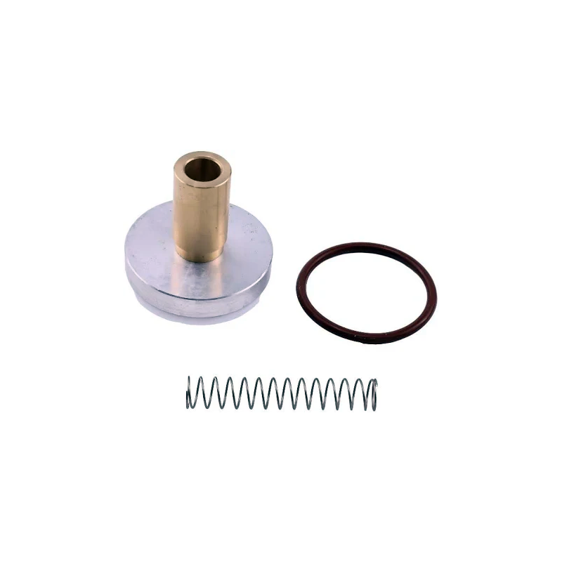 Minimum Pressure Check Valve Repair Kit 250019-444 for Sullair Screw Air Compressor - KUDUPARTS