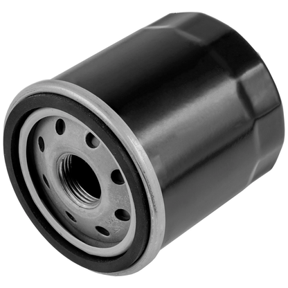 Oil Filter AM107423 for John Deere Tractor LX172 LX173 LX176 LX178 LX186 LX188 LX277 LX279 - KUDUPARTS
