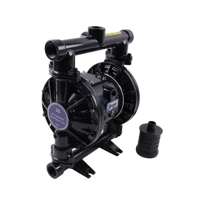 Pompe à membrane pneumatique D73525 pour Graco Husky 1040