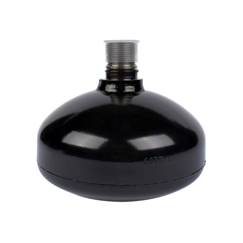 Accumulateur de suspension arrière 49151-60020 pour Lexus LX570 2008-2021 et Toyota Land Cruiser 2008-2020