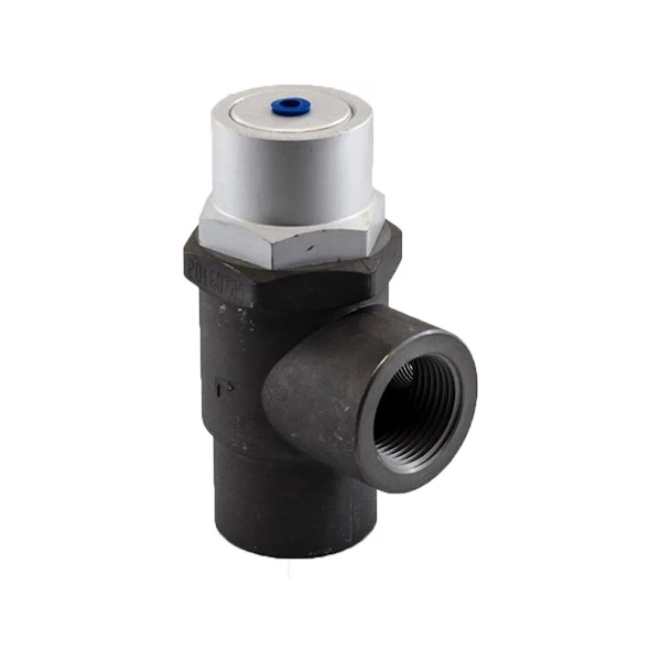 Screw Air Compressor Parts Minimum Pressure Valve Assembly Pressure Regulator MPV25A