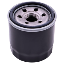 Spin On Oil Filter 21060100101 for Odes 500 650 UTVs and ATVs Comrade Single Cylin