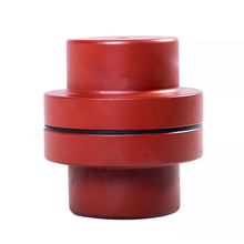 Conjunto de acoplamiento superflexible NM97 NM-97