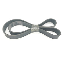 V-Belt 3288689 8PK1365 5690184 for Cummins Engine 4B3.9 ISM CM570 6C8.3 B5.9 G ISB5.9G CM2180 6B5.9
