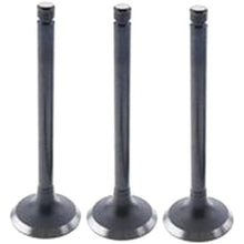 For Komatsu Excavator PC40FR-1 PC40FR-2 Yanmar 3TNE88 Komatsu 3D88 Engine Exhaust Valve 3 Units 1 Set Y129100-11130 - KUDUPARTS