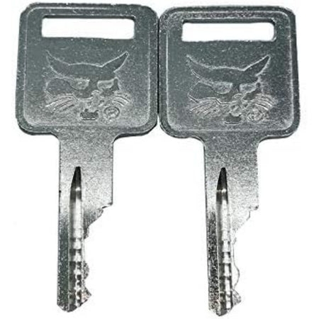 2 x D250 Ignition Keys 307852A1 6693241 6709527 714602 A77313 for Bobcat Case IH Skid Steer Terex Broce Genie Grove JLG Komatsu Forklift Volvo 1835B 1835C 1838 1840 CX50 CX60 CX70 CX80 CX90 - KUDUPARTS