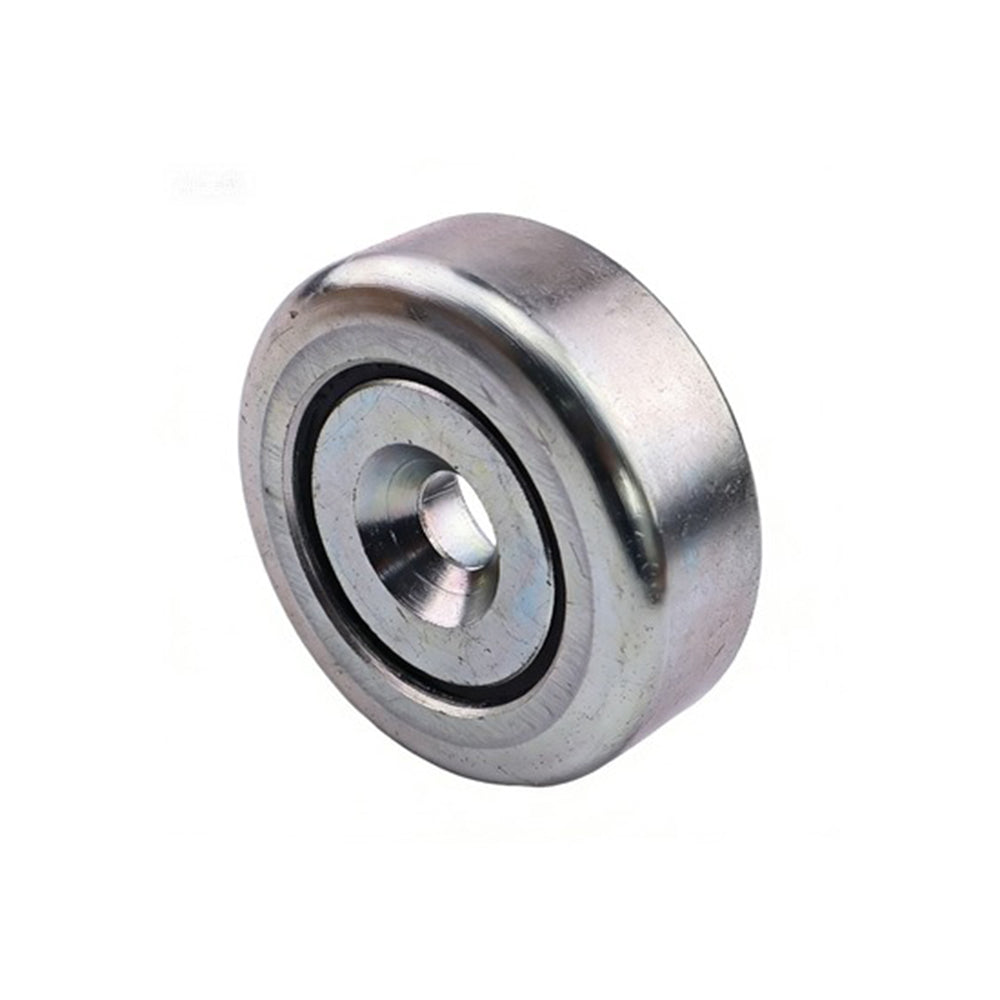 Mast Guide Roller Bearing 529.120.0001 for Princeton Teledyne Forklift