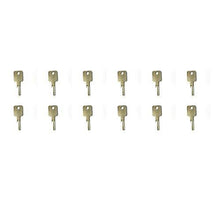 Compatible with (12) D250 Ignition Starter Keys for Case-IH, Bobcat, Ingersol-Rand Equipment - KUDUPARTS