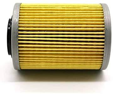 For Massimo Bennche Coleman Strike Oil Filter,Cartridge,VTwin,HiSun,UTV,ATV,800,1000 - KUDUPARTS