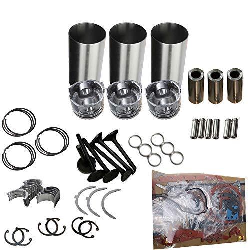 L3E Overhaul Rebuild Kit for Mitsubishi Engine HANIX H22B Excavator - KUDUPARTS